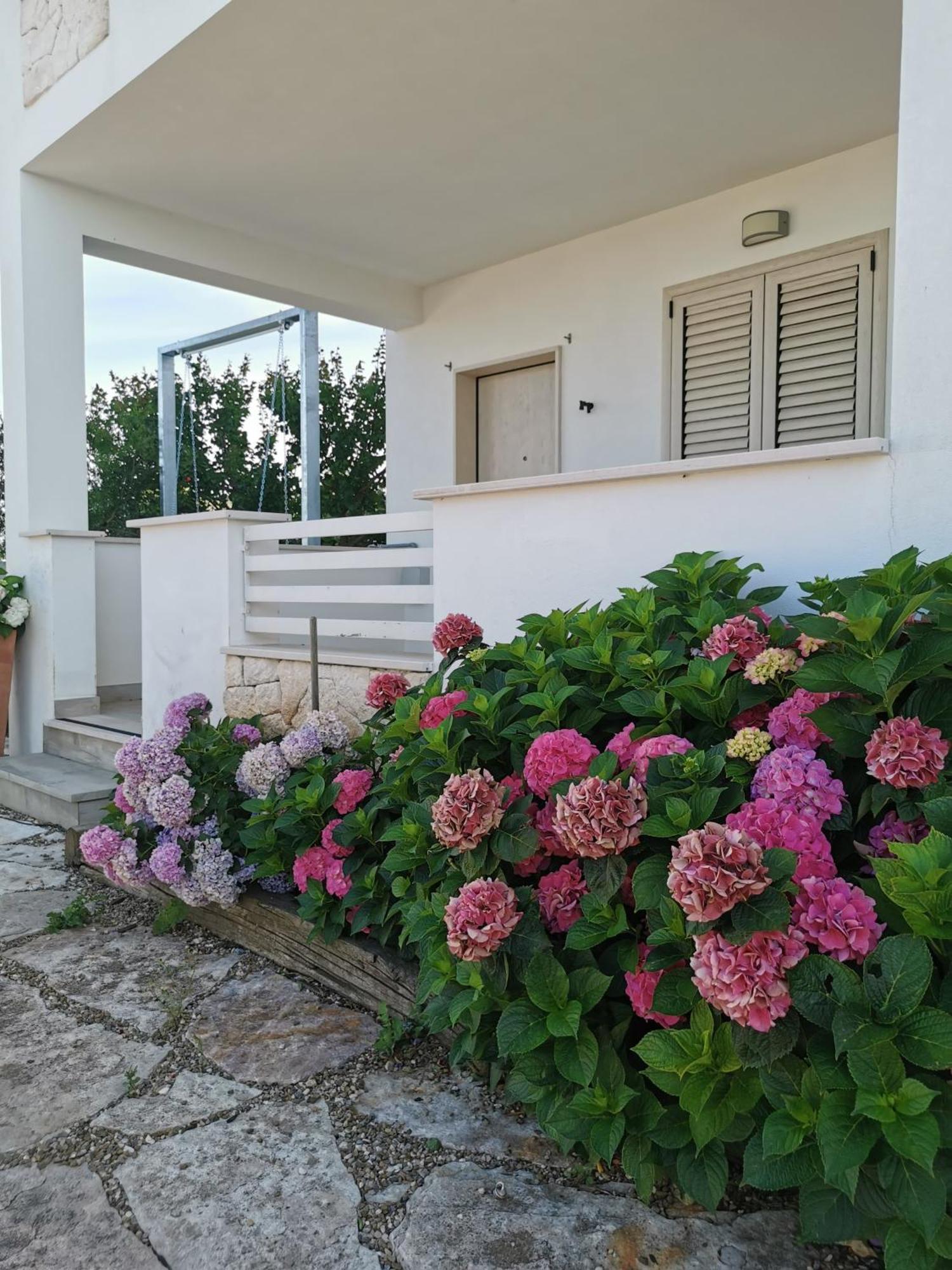 Apartmán Vill'Aura Vieste Exteriér fotografie