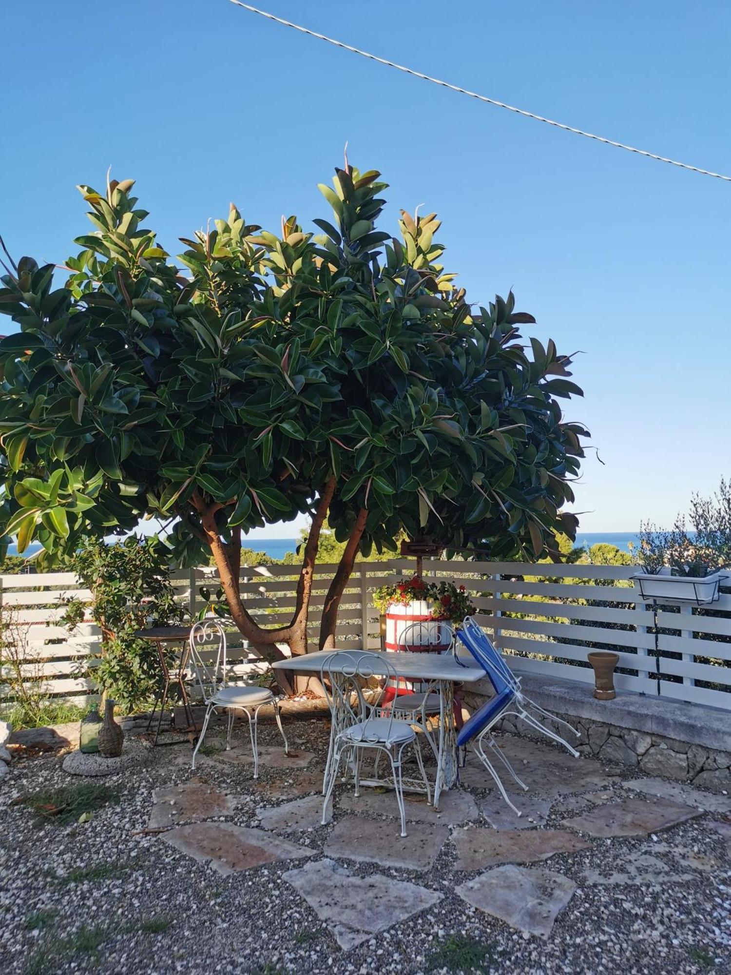 Apartmán Vill'Aura Vieste Exteriér fotografie